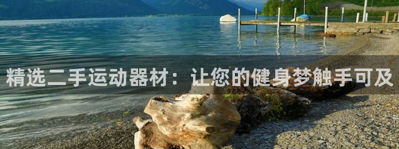 yy易游体育官方正版app新能源：精选二手运动器材：