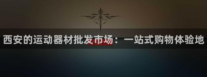 德国yy易游体育官方正版app集团：西安的运动器材批