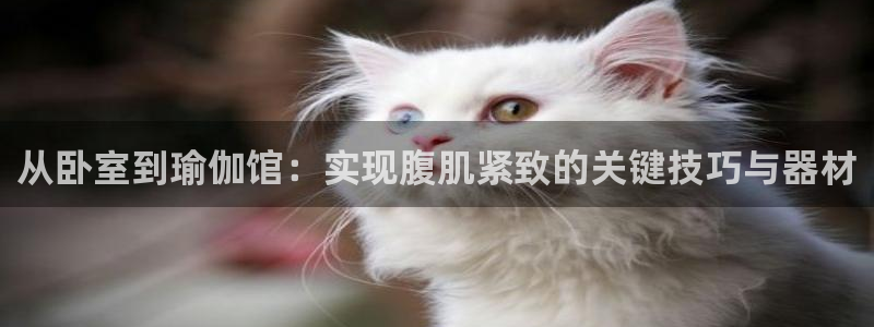 yy易游体育官网下载平台注册要钱吗是真的吗：从卧室到