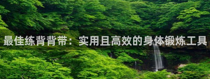 yy易游体育官网下载注册：最佳练背背带：实用且高效的