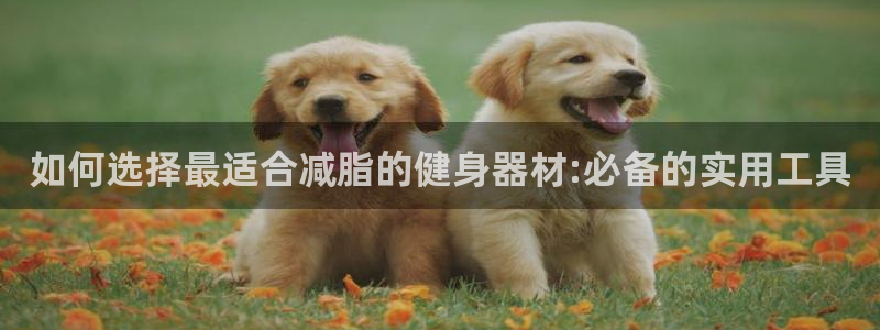 yy易游体育官网下载招商电话号码是多少啊：如何选择最适合减脂