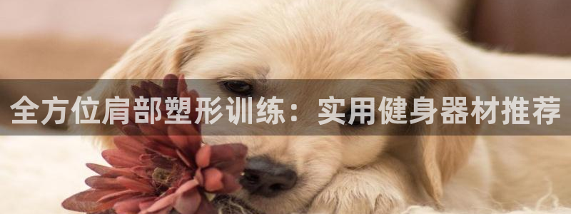 yy易游体育官网下载招商电话是多少啊：全方位肩部塑形训练：实