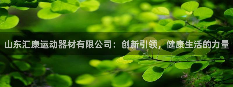 yy易游体育官网下载招商：山东汇康运动器材有限公司：