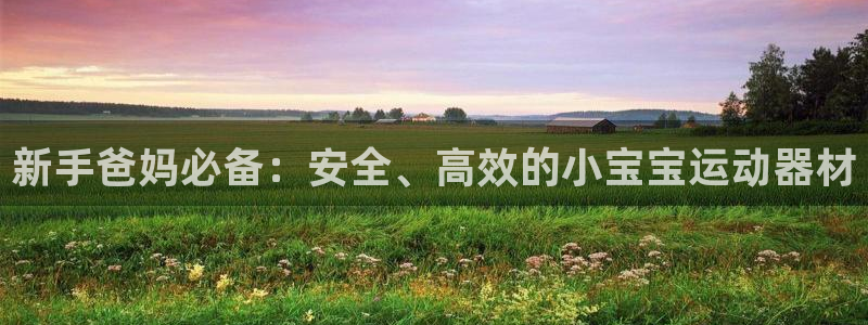 yy易游体育官网下载注册：新手爸妈必备：安全、高效的小宝宝运