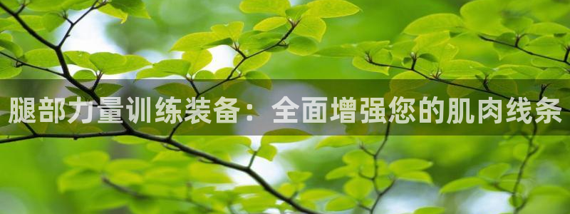 yy易游体育官网下载软件